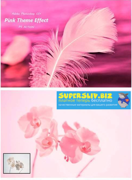 [Graphicriver] Pink Theme Effect Ps Action (2019)_0.png